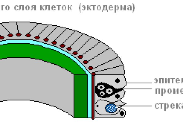 Кракен сайт ссылка тор браузере