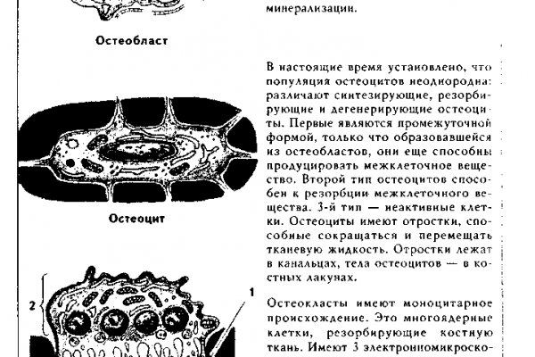 Kraken официальный сайт зеркало